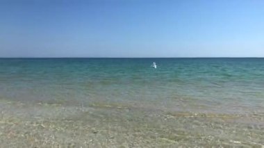 Dalgalı, kumlu, köpüklü deniz.