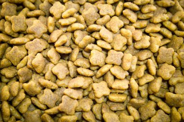 Köpekler için diyet hapı.