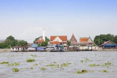 Bangkok 'taki Chao Phraya Nehri' ndeki Riverside Topluluğu ve tapınağı