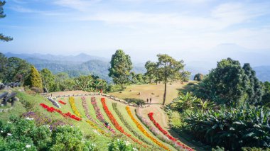 Huai nam dang, mae hong oğlu, Tayland