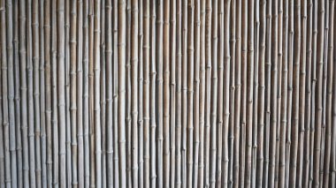 Bambu duvar dokusu arkaplanı