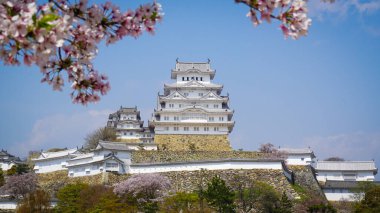 HImeji Kalesi 'nde kiraz çiçeği