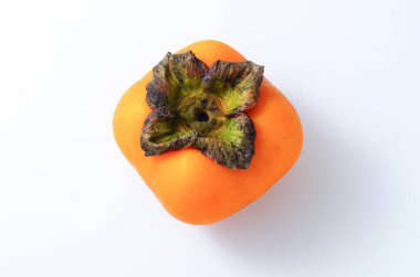 Beyaz arkaplanda bir hurma.