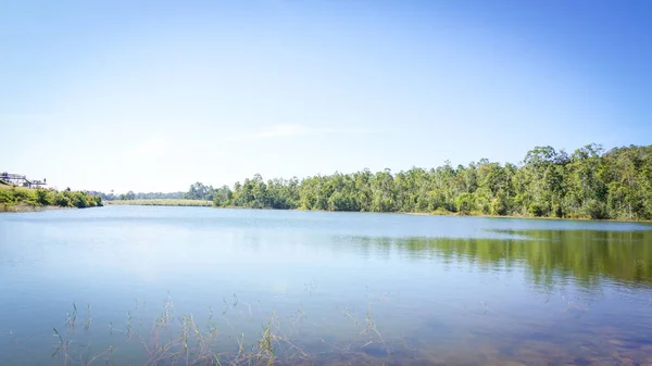 Tayland 'daki Khao Yai Ulusal Parkı' ndaki rezervuar.