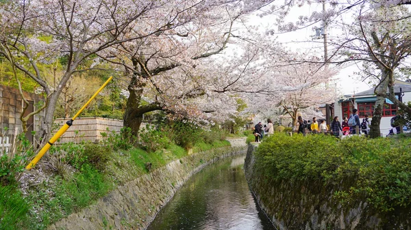 Kyoto Japão Abril 2018 Pessoas Visitam Passeio Filosofal Kyoto Japão — Fotografia de Stock