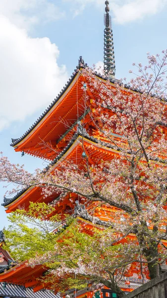 Kiyomizu, Japonya 'nın en ünlü tapınaklarından biridir..