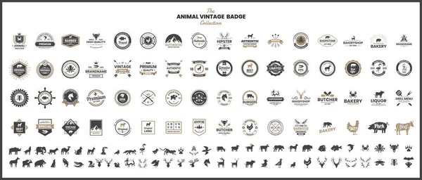 Vettore Vintage Animale Banner — Vettoriale Stock