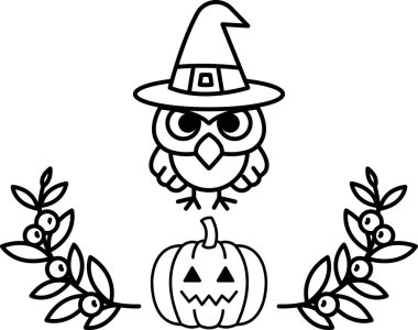 Cadı şapkası ve önünde balkabağı olan bir baykuş resmi.