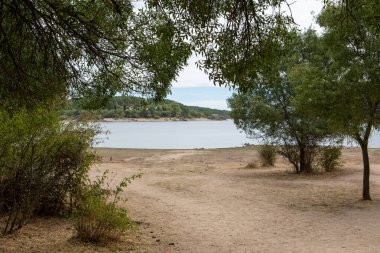 Bereketli yeşillik, kumlu bir sahil üzerinde gölgelenen ağaçlarla sakin bir göl oluşturur. Durgun su berrak bir gökyüzünü yansıtır, sakin bir atmosfer yaratır..