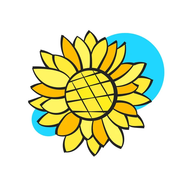 Sunflower Flower Isolated, Vector Illustration. Nature Background