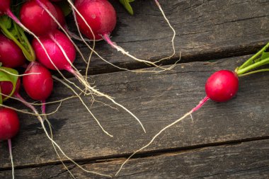 ahşap masa üzerinde taze organik turp. üstten görünüm