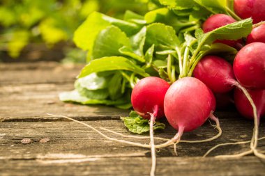 ahşap masa üzerinde taze organik turp