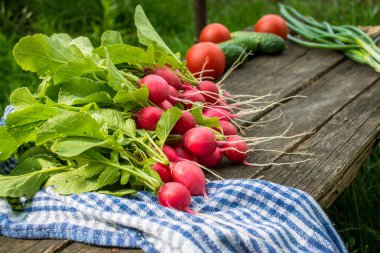 eski ahşap masa yere gelen taze turp