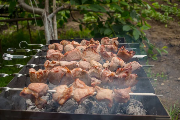 Viande Rôtie Cuite Barbecue Hacher Les Tranches Viande Bœuf Fraîche — Photo