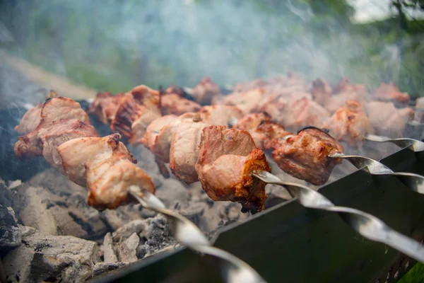 Viande Rôtie Cuite Barbecue Hacher Les Tranches Viande Bœuf Fraîche — Photo