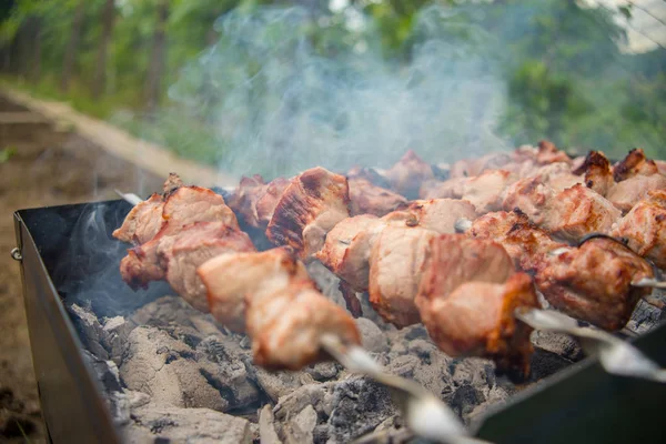 Viande Rôtie Cuite Barbecue Hacher Les Tranches Viande Bœuf Fraîche — Photo