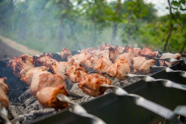 Viande Rôtie Cuite Barbecue Hacher Les Tranches Viande Bœuf Fraîche — Photo