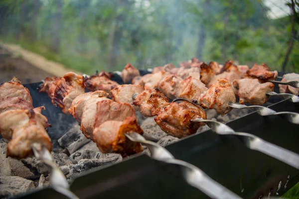 Viande Rôtie Cuite Barbecue Hacher Les Tranches Viande Bœuf Fraîche — Photo