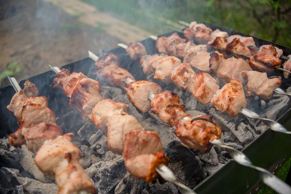 Viande Rôtie Cuite Barbecue Hacher Les Tranches Viande Bœuf Fraîche — Photo