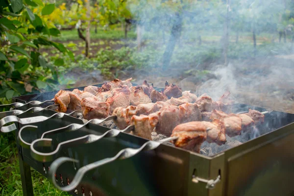 Barbeküde pişmiş kavrulmuş et. Barbekü sığır eti taze et chop dilimleri. Geleneksel Doğu çanak. Panjur kömür ve alev, piknik, sokak gıda