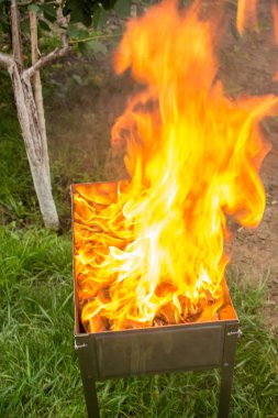 Barbeküde pişmiş kavrulmuş et. Barbekü sığır eti taze et chop dilimleri. Geleneksel Doğu çanak. Panjur kömür ve alev, piknik, sokak gıda