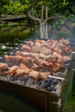 Barbeküde pişmiş kavrulmuş et. Barbekü sığır eti taze et chop dilimleri. Geleneksel Doğu çanak. Panjur kömür ve alev, piknik, sokak gıda
