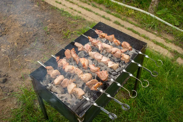 Viande Rôtie Cuite Barbecue Hacher Les Tranches Viande Bœuf Fraîche — Photo