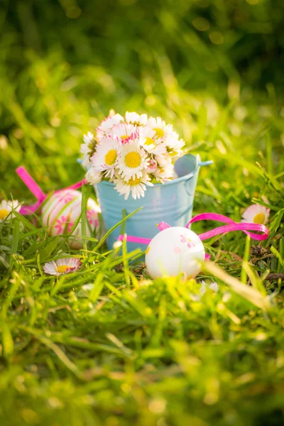 Easter Eggs Daisies Grass — Stock Photo, Image
