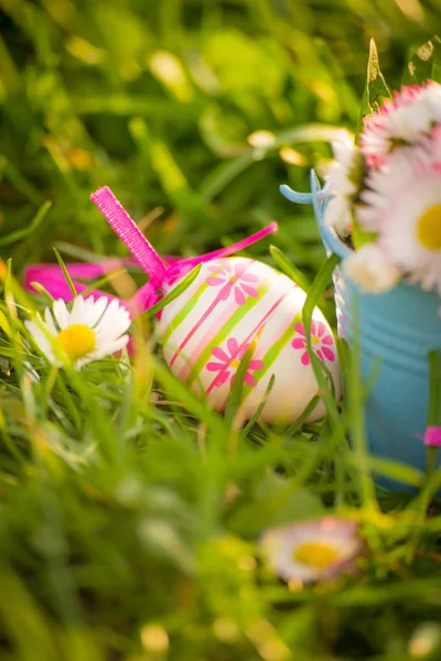 Easter Eggs Daisies Grass — Stock Photo, Image