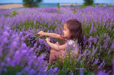 güzel bir küçük kız bir lavanta taç yapar