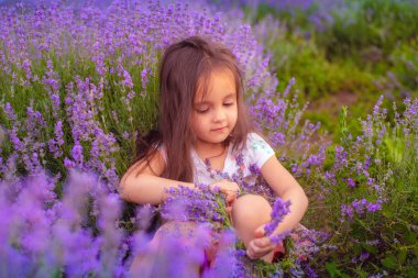 güzel bir küçük kız bir lavanta taç yapar