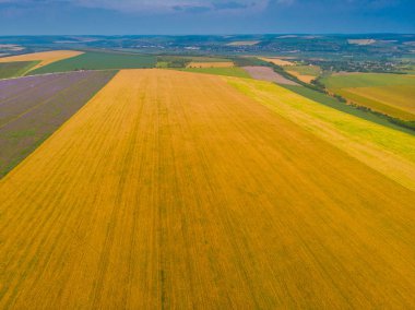 Tarım çeşitli alanların yukarıdan aşağıya görünümü. Güzel