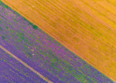 Tarım çeşitli alanların yukarıdan aşağıya görünümü. Güzel