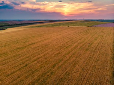 Tarım çeşitli alanların yukarıdan aşağıya görünümü. Güzel