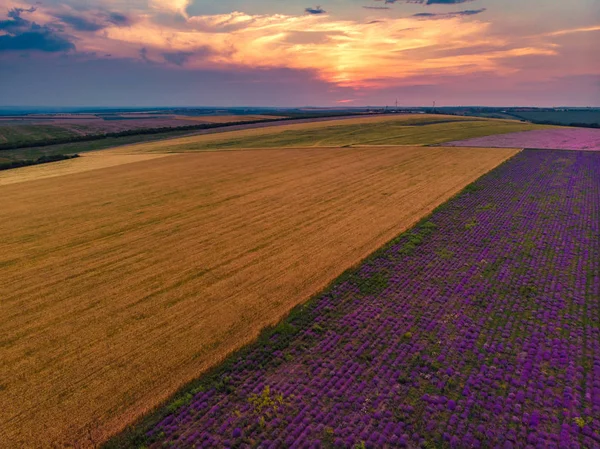 Blick von oben auf Felder mit verschiedenen Arten der Landwirtschaft. beaut — Stockfoto