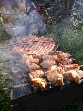 Barbekü Izgara