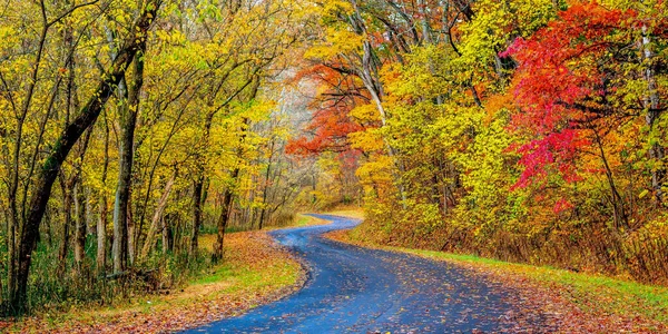 Road through autumn color in Hocking Hills, Ohio