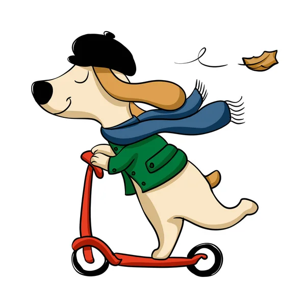 Cão Bonito Scooter Cute Cartoon Dog Equitação Scooter — Fotografia de Stock