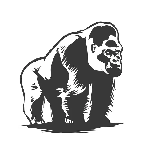 Czarno Biały Ilustracja Goryl — Wektor stockowy