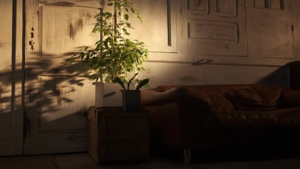 Chambre Vide Matin Avec Rayon Soleil Sur Mur — Video