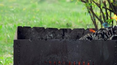 Izgara champignon mantarı ile barbekü şişler. Bir şiş açık ızgara champignons.