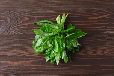 Koyu ahşap arka planda Basil 