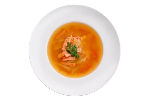 Portion of salmon soup — Stock Photo, Image