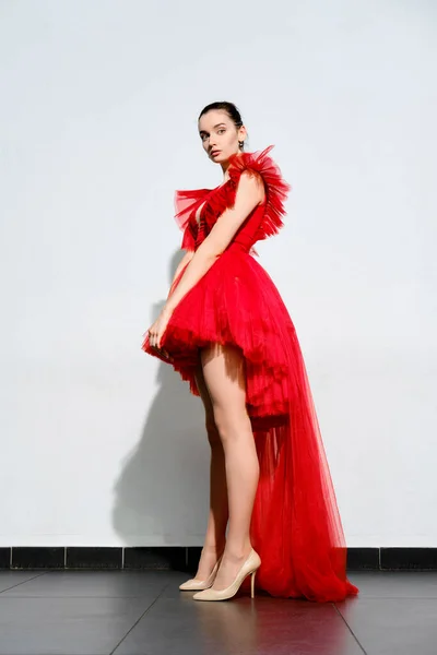 Beautiful girl in short red tulle dress with long tail posing under hard light