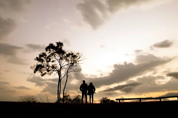 Silhouette Couple Standing Tree Hill Sunset — ストック写真