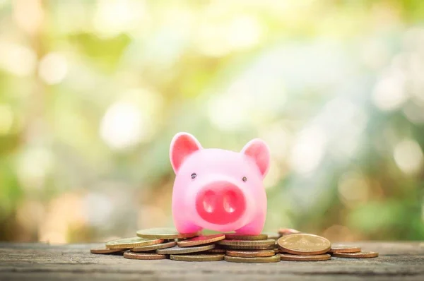 İş yatırım veya kavramı kaydetmek için birçok para üzerinde pembe kumbara, yakın çekim