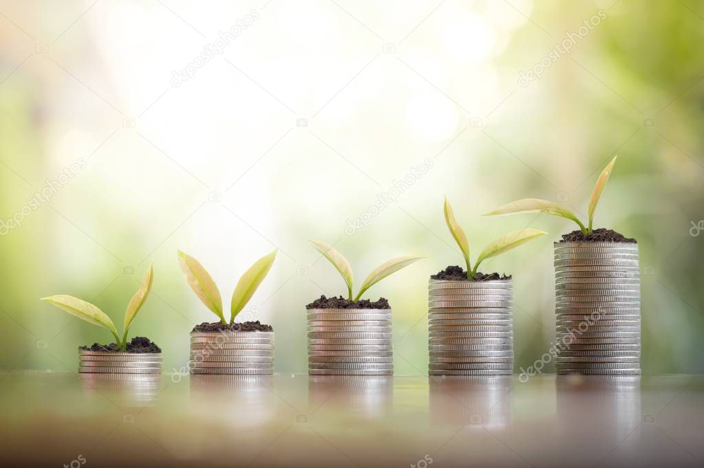 Plants growing up on stack of coins for business investment or saving concept