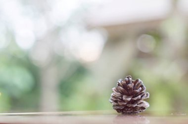 Çam kozalağı Noel dekorasyon arka plan için yakın çekim