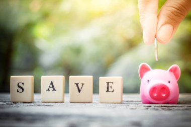 İş konsepti, ömür boyu pembe domuz kumbarasına el koymak.