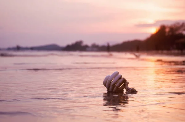 Sahilde gün batımlı parlak bir ampul